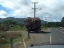 Sugar cane harvesting. Ancient trucks haul it to the mills